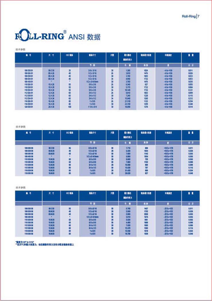 Renold 鏈條張緊器-7.jpg